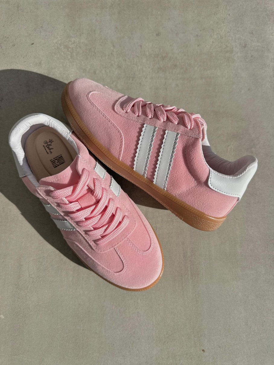 Vega - Tenis